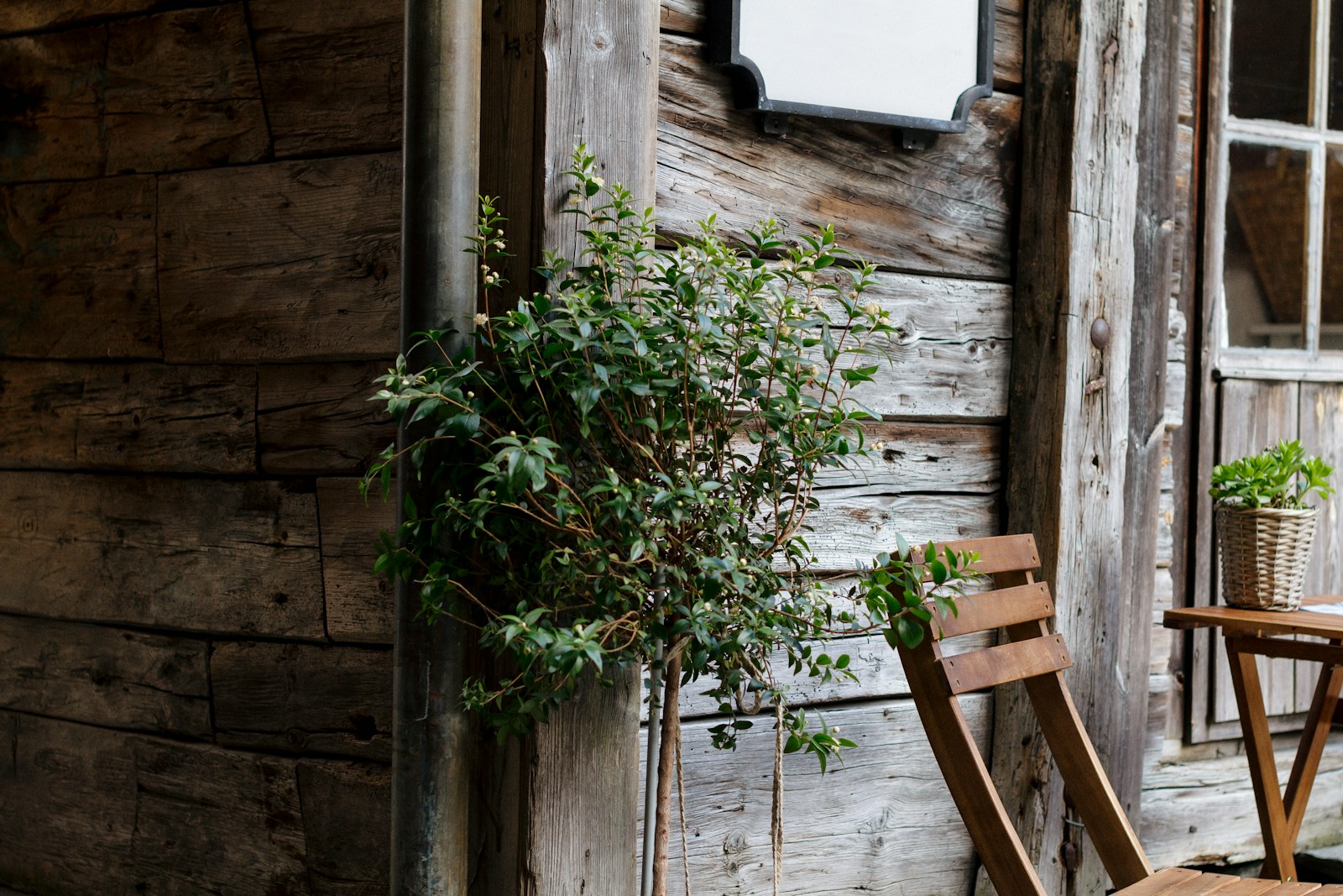 Construire durable : les avantages écologiques d'une maison passive en bois